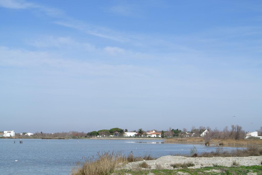 Hotel Les Palmiers En Camargue Saintes-Maries-de-la-Mer Room photo