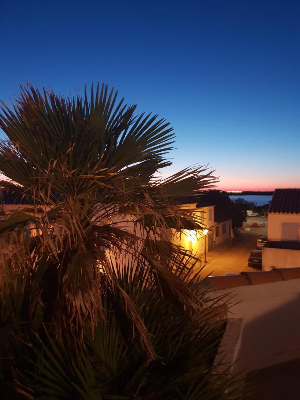 Hotel Les Palmiers En Camargue Saintes-Maries-de-la-Mer Exterior photo